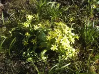 BILD4874.webp