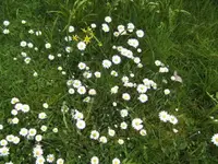 BILD4903.webp