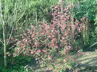 BILD5549.webp