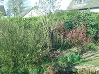 BILD5551.webp