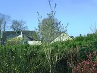 BILD5552.webp