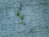 BILD5553.webp