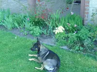 BILD5554.webp