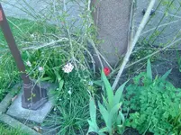BILD5555.webp