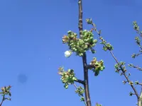 BILD5557.webp