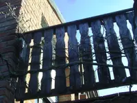 Blauregen.webp