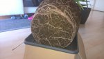 WP_20160411_10_43_33_Pro.jpg