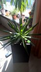 WP_20160411_11_32_36_Pro.jpg
