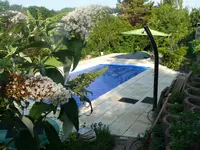 Pool.webp