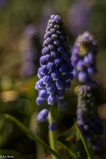 IMG_7208.webp