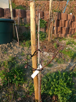 k-P1100081.webp