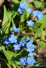 DSC_7262.webp