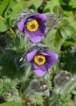 DSC_7265.webp