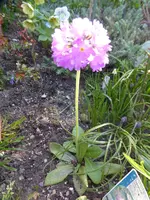 P1080316.webp