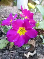 P1080317.webp