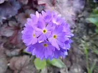 P1080443.webp