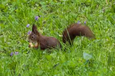 2016-04-11-0041.webp
