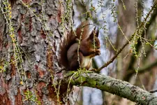 2016-04-11-0047.webp