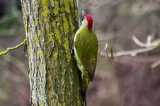2016-04-11-0062.webp