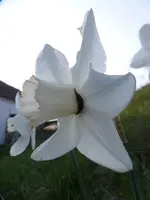 P1080476.webp