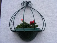 Geranilen 12.4.2016.webp