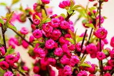 2016-04-12-0111.webp