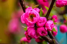 2016-04-12-0112.webp