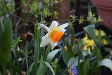 DSC_0125.webp