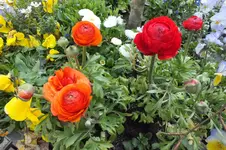 DSCF5614.webp