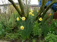P1100105.webp