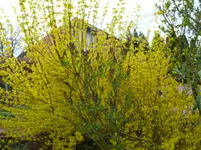 P1100111.webp