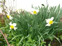 P1100113.webp