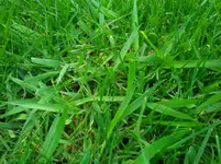 IMG_20160407_195226.webp