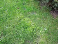 DSCN6817.webp