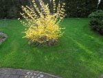 DSCN6818.jpg