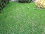 DSCN6819.jpg
