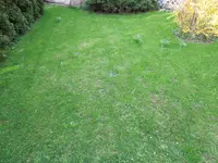 DSCN6819.webp