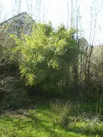 P4120023.webp