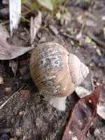 P1080580.webp