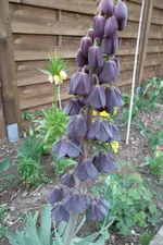 SAM_0973.webp
