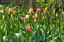 2016_04102016märz0002.webp