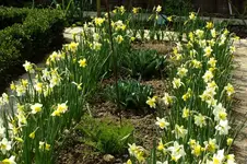 2016_04102016märz0004.webp