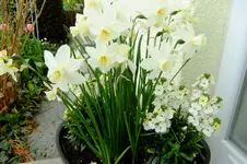 2016_04102016märz0015.webp