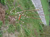 P1100061.jpg