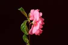 2016-04-13-0113.webp