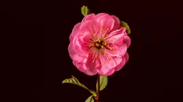 2016-04-13-0116.webp