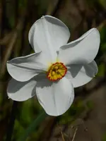 P1000009.webp