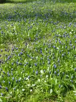 P1000010.webp