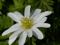 P1000016.webp