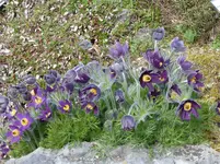 P1000021.webp